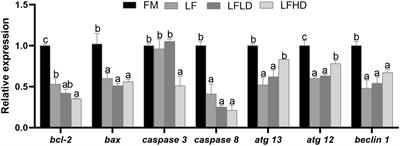 Effect of Schizochytrium limacinum supplementation to a low fish-meal diet on growth performance, lipid metabolism, apoptosis, autophagy and intestinal histology of Litopenaeus vannamei